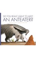 Do You Really Want to Meet an Anteater?