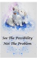 See The Possibility Not The Problem