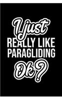 I Just Really Like Paragliding Ok?