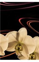 Journal: Orchid Floral Flower 6 x 9 Unlined Blank Empty Numbered 200 Pages