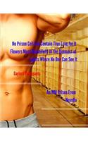 No Prison Cell Can Contain True Love for It Flowers Most Beautifully in the Dimmest of Lights Where No One Can See It: An MM Prison Erom Novella