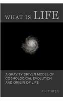 What Is Life? - A Gravity Driven Model of Cosmological Evolution and Origin of Life