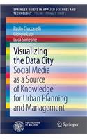 Visualizing the Data City
