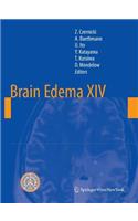 Brain Edema XIV