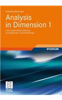Analysis in Dimension 1