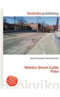 Walden Street Cattle Pass