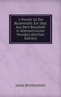 's Vreneli Us Der Bluemmatt: Ein Idyll Aus Dem Baselbiet in Allemannischer Mundart (German Edition)