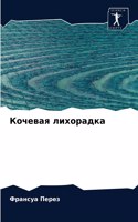 Кочевая лихорадка