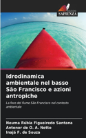 Idrodinamica ambientale nel basso São Francisco e azioni antropiche