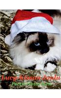 Lucy-Kissan Joulu