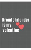 Kromfohrlander is my valentine: For Kuvasz Dog Fans