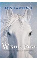 The Winter Pony