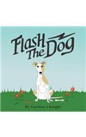 Flash the Dog