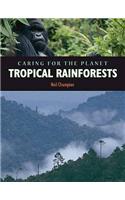 Rainforest