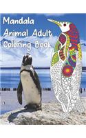 Mandala Animal Adult Coloring Book