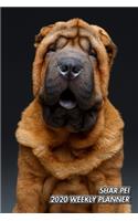 Shar Pei 2020 Weekly Planner