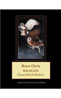 Barn Owls