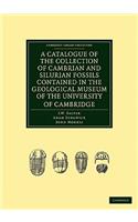 Catalogue of the Collection of Cambrian and Silurian Fossils Contained in the Geological Museum of the University of Cambridge
