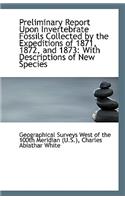 Preliminary Report Upon Invertebrate Fossils Collected by the Expeditions of 1871, 1872, and 1873