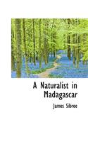 A Naturalist in Madagascar