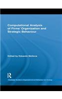 Computational Analysis of Firms' Organization and Strategic Behaviour