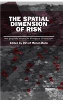 The Spatial Dimension of Risk