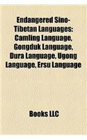 Endangered Sino-Tibetan Languages: Camling Language, Gongduk Language, Dura Language, Ugong Language, Ersu Language(English)