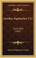 Goethes Tagebucher V12