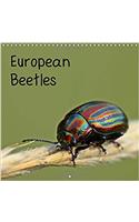 European Beetles 2017