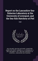 Report on the Lancashire Sea-fisheries Laboratory at the University of Liverpool, and the Sea-fish Hatchery at Piel: 1901
