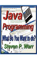 Java Programming: What Do You Want To Do?