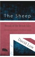 Sheep - Breeds of the British Isles (Domesticated Animals of the British Islands)