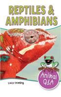 Reptiles & Amphibians