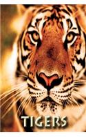 Tigers