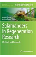 Salamanders in Regeneration Research