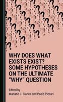 Why Does What Exists Exist? Some Hypotheses on the Ultimate “Why” Question