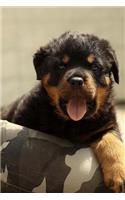 Friendly Little Rottweiler Puppy Dog Pet Journal