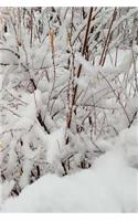 Winter Journal Forest Snowstorm: (Seasonal Winter Photo Journals Notebooks Diaries)