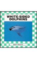 White-Sided Dolphins
