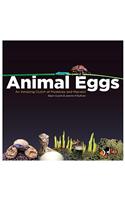 Animal Eggs