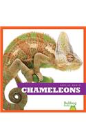 Chameleons