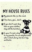 My House Rules: Miniature Pinscher Puppy Dog 2020 2021 Monthly Weekly Planner Calendar Schedule Organizer Appointment Journal Notebook For Dog Owners and Puppy Love