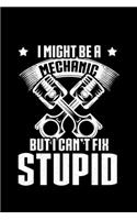 I Might Be a Mechanic But I can't Fix Stupid