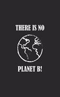 There is no Planet B: Lined Paper Notebook 6x9 inches with 120 pages