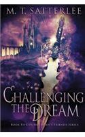 Challenging the Dream