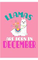 Llamas Are Born in December