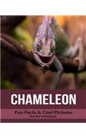 Chameleon: Fun Facts & Cool Pictures