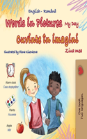 Words in Pictures - My Day (English Romanian Bilingual Children's Book): (English Romanian Bilingual Collection)