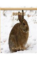 Bunnies: Beautiful Pictures & Interesting Facts Children Book about Bunnies