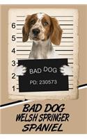 Bad Dog Welsh Springer Spaniel